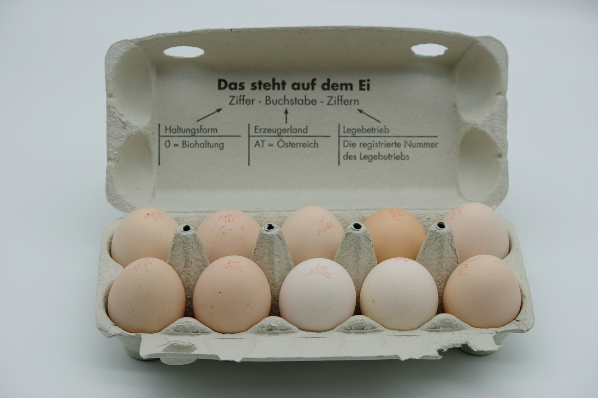 Eier, Größe L, 10 Stk.