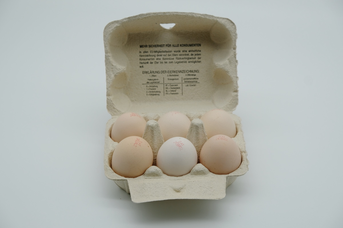 Eier, Größe L, 6 Stk.